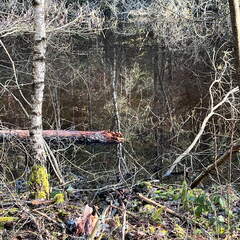 24-02-29 09-57-00 8812